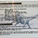 공룡박물관 이미지