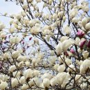 부천 종합운동장역(2번 출구) 이미지