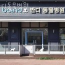 반디동물병원 이미지