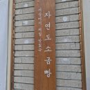 자연도소금빵in성수 - 성동구 성수동2가 | [서울 성수 빵지순례] 리센느 원이·제나도 먹은 자연도소금빵in 성수 내돈내산 후기
