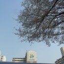 영복여자고등학교 이미지