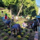 좌천체육공원 이미지