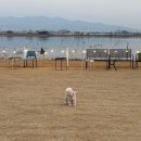 공독 | 부산 강서구 애견운동장 | 그랑독 방문 후기🐶🐾