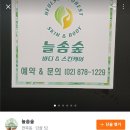 숲바디&스킨 이미지