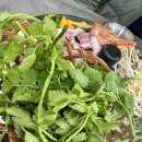 전일맥주전주아중점 | [아중리삼겹살] 전주역맛집 아중솥뚜껑삼겹살 3~4인세트 후기