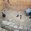 마이산 토담 이미지