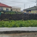 어멍민박 이미지