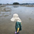 팔봉 갯벌체험장 화장실 | 가족과 즐기는 서천 갯벌체험! 월하성갯벌체험장 솔직후기 🐚