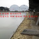 삼형카센타