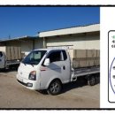 태인 애견 이미지