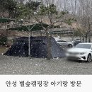 안성 별숲캠핑장 A-2 사이트 22개월 아기랑 설중 캠핑
