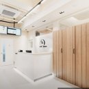 24시잠실ON동물의료센터 | 24시잠실ON동물의료센터 여기는 진짜 고양이 편