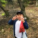 정안합기도 이미지