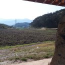 남원 호기리 마애여래좌상 이미지