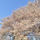 짐박스피트니스 신림2호점 이미지