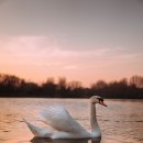 사하구 강변대로 이미지