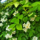 해피힐부동산공인중개사사무소 이미지