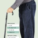 지팡이는 '세 번째 다리'… 낙상·척추 변형 막는다 2019.10.22 이미지