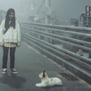 케이크 프로젝트 이미지