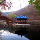 우화정 - 경산시 | 우화정
