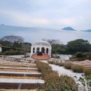 까멜리아 이미지