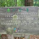 강참봉 네이버블로그