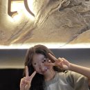 디어멍멍 이미지