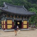 대흥사 | 단양 미륵대흥사 템플스테이 후기(feat. 장림산방)