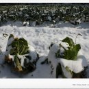 하늘내린 게스트하우스 이미지