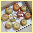 들판열매 꼬마사과 실속/가정용 후기 | 사과 구독으로 시작한 아침 사과 건강 간식 루틴