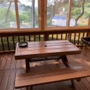 솔푸른향기애견 이미지