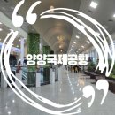 양양이 | 양양국제공항 주차장 버스 편의시설 총정리 파라타항공 제주도 후기