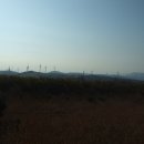 바람개비 이미지