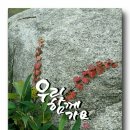 광주선우학교 이미지