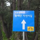 회쎈타