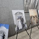강남결혼상담소 | 결혼준비 뭐부터 하지? 다이렉트 스드메계약으로 60만 원 아낀 리얼 후기!!