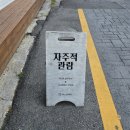 자주적관람 이미지