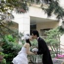 아이리스 이미지