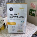 퍼피앤맘 이미지