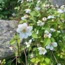 숲속에하루민박 이미지