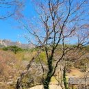 앵두나무집민박 이미지