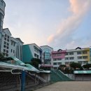 배드민턴퍼스트 이미지