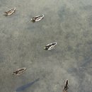 논현로11길 17 이미지