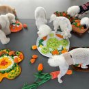 행복한유치원 | 일산애견유치원 우리 아이도 행복한 포근 애견유치원 후기