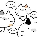 마인성형외과의원 이미지