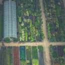 처음농장 이미지