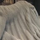 밍크 | 영하 13도...느므 춥지만 카페. 아다모스튜디오 밍크 후기