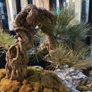 누리 행정사사무소 이미지