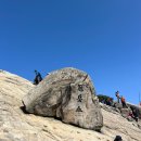 서울종합환경 | [서울] 관악산 초보 등산러 산행 후기⛰️ (건설환경종합연구소 > 연주대 > 건설환경종합연구소)