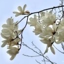 매그놀리아 - 통영시 무전대로 12-13 | 매그놀리아